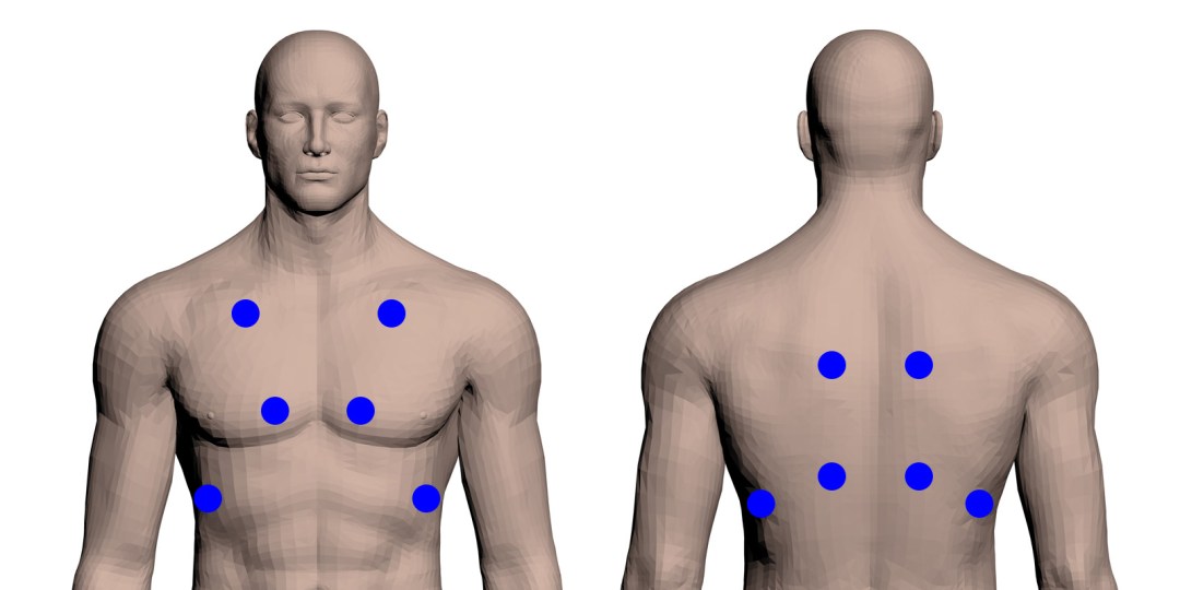 auskultaatioalueet_v1